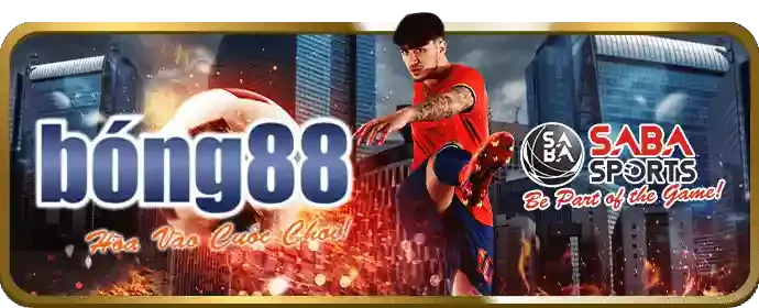 Nền tảng bảo mật vững chắc của vlxx88 nhà cái đảm bảo an toàn dữ liệu